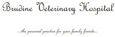 Brudine Veterinary Hospital - Gold Coast Vets 0