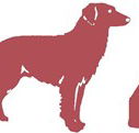 Deakin Veterinary Hospital - Gold Coast Vets