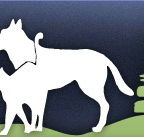 Gungahlin Veterinary Hospital - Gold Coast Vets