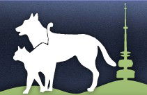 Gungahlin Veterinary Hospital - Gold Coast Vets 0