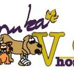 Manuka Veterinary Hospital - Gold Coast Vets
