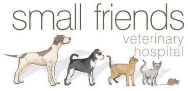 Small Friends Veterinary Hospital - Gold Coast Vets 0