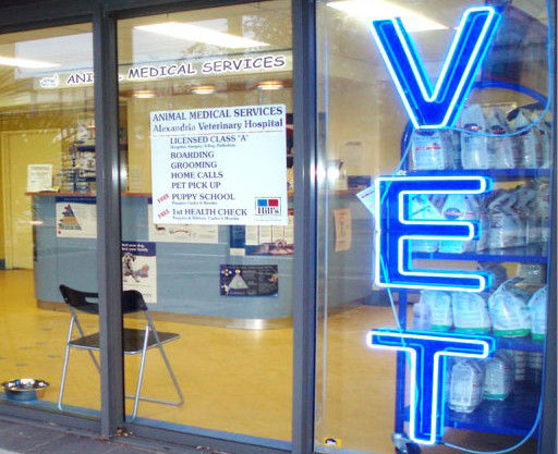 Eveleigh NSW Gold Coast Vets