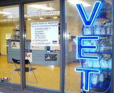 Book Sydney Accommodation Vacations Gold Coast Vets Gold Coast Vets