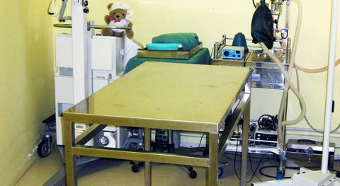 All Paws Veterinary Clinic - Gold Coast Vets 2