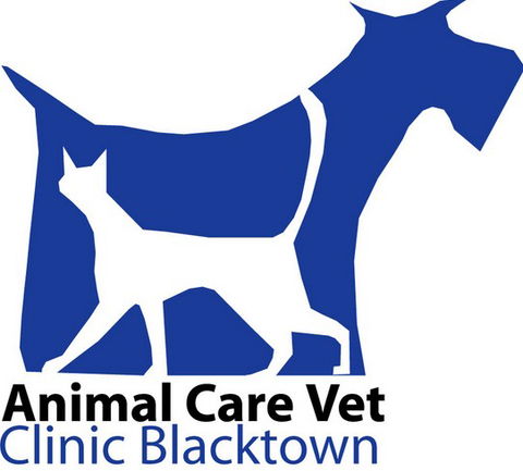 Animal Care Vet Hospital - Gold Coast Vets 0