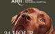 Animal Referral Hospital - thumb 0