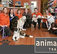 Animal Tracks Veterinary Clinic - Gold Coast Vets