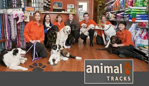 Animal Tracks Veterinary Clinic - Gold Coast Vets 0