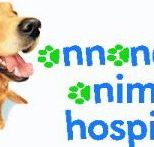 Annandale Animal Hospital - Gold Coast Vets