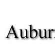 Auburn Veterinary Hospital - Gold Coast Vets