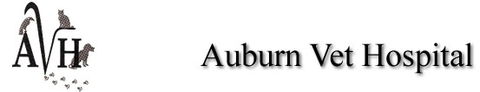 Auburn Veterinary Hospital - Gold Coast Vets 0