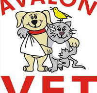 Avalon Veterinary Hospital - Gold Coast Vets