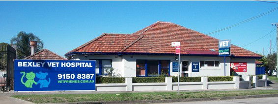  Gold Coast Vets