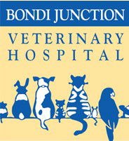 Bellevue Hill NSW Gold Coast Vets