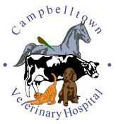 Campbelltown Veterinary Hospital - Gold Coast Vets 0