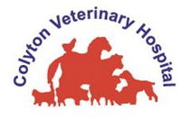 Book Colyton Accommodation Vacations Gold Coast Vets Gold Coast Vets