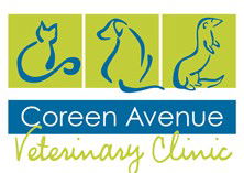 Coreen Avenue Veterinary Clinic - Gold Coast Vets 0