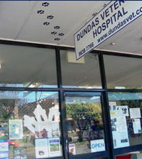 Dundas Veterinary Clinic