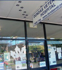 Dundas Veterinary Clinic - Gold Coast Vets 0