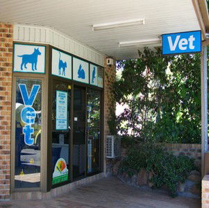Elanora Heights NSW Gold Coast Vets