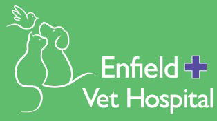 Enfield Veterinary Hospital - Gold Coast Vets 0