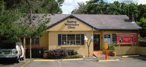 Epping Veterinary Clinic - Gold Coast Vets 0
