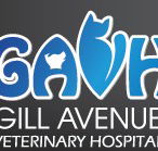 Gill Avenue Veterinary Hospital - Gold Coast Vets