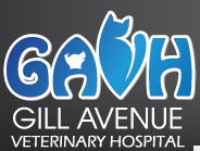 Gill Avenue Veterinary Hospital - Gold Coast Vets 0