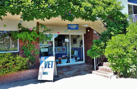 Belconnen Animal Hospital - Gold Coast Vets 0