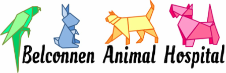 Belconnen Animal Hospital - Gold Coast Vets 1