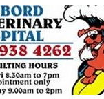 Harbord Veterinary Hospital - Gold Coast Vets