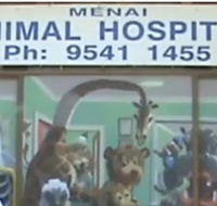 Menai Animal Hospital - Gold Coast Vets