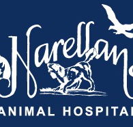 Narellan Animal Hospital - Gold Coast Vets