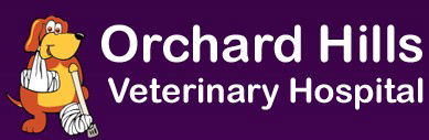 Orchard Hills Veterinary Hospital - Gold Coast Vets 0