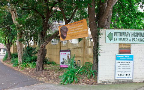 Pennant Hills Veterinary Hospital - Gold Coast Vets 0