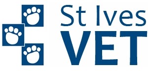 St Ives Veterinary Surgery - Gold Coast Vets 0