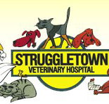 Struggletown Veterinary Hospital - Gold Coast Vets