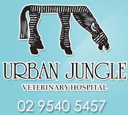Urban Jungle Vet Hospital - Gold Coast Vets 0