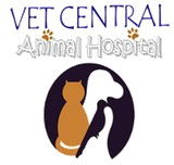 Vet Central Animal Hospital - Gold Coast Vets