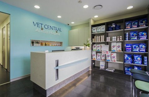 Vet Central Animal Hospital - Gold Coast Vets 1