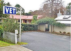 West Pennant Hills NSW Gold Coast Vets