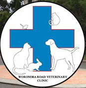 Engadine NSW Gold Coast Vets