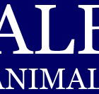 Albert Animal Hospital - Gold Coast Vets