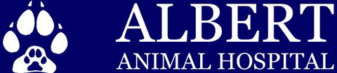 Albert Animal Hospital - Gold Coast Vets 0