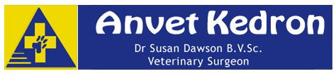 Anvet Kedron Veterinary Surgery - Gold Coast Vets 0