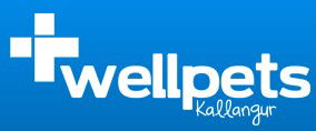 Kallangur QLD Gold Coast Vets