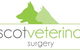 Ascot Veterinary Surgery - thumb 0