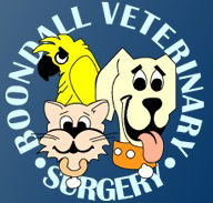 Boondall Veterinary Surgery - Gold Coast Vets