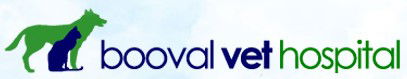 Booval Vet Hospital - Gold Coast Vets 0